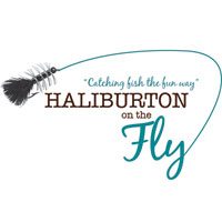 Haliburton On The Fly